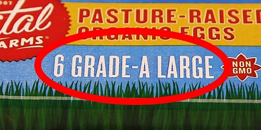 The difference between Grade AA, A, and B eggs