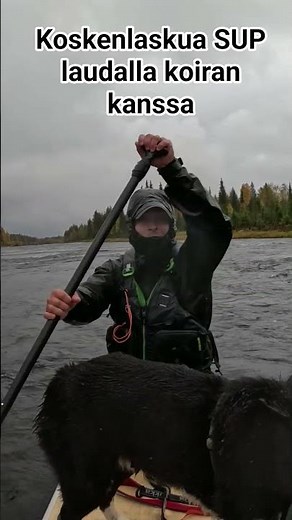 Rapids with SUP board and dog