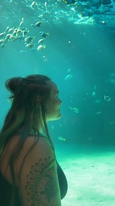 Explore the Two Oceans Aquarium with WorksheetCloud & Save A Fishie🐠 Litter is destroying our planet and our beautiful oceans. Save A Fishie is a South African organisation that arranges beach clean-ups in Cape Town. In this video, we explore the Two Oceans Aquarium and learn more about saving our oceans. Come and explore with www.worksheetcloud.com Support Save A Fishie by visiting www.saveafishie.co.za | WorksheetCloud