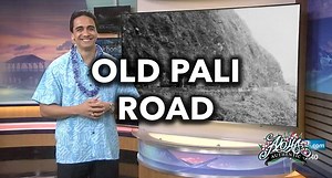 2K views · 101 reactions | OLD PALI ROAD With all the landslides and activity taking place on the Pali Highway (Feb 2019), we take a step back to learn some history of the highway and the Old Pali Road. | Aloha Authentic | Facebook