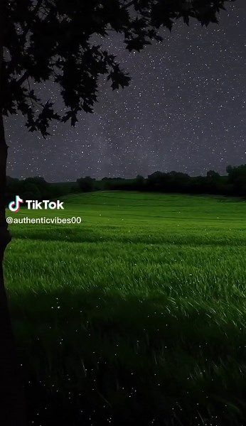 Nature's Peaceful Beauty | Spring Vibes