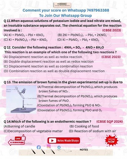 Class 10 Science chapter 1 Important Questions | Chemical reactions & equations | #giveaway #science