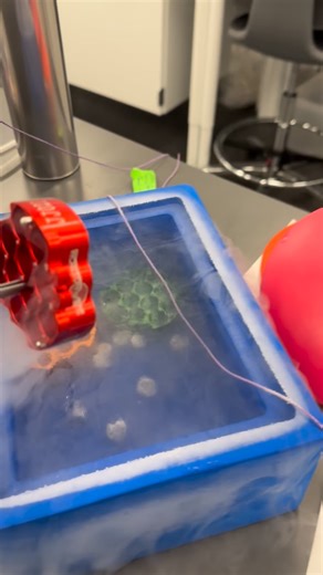 78K views · 414 reactions | How do your store cryoEM grids? Storing cryoEM grids for future imaging using the Krios. #phd #research #reels #phdwithseraya #studywithme #studentlife #gradschool #gradlife #phdlife #studentlife #viral #reels #viralreel #viralvideos #foryou #foryoupage #science #research #stem #gradstudent | Seraya Jones-Nelson | Facebook