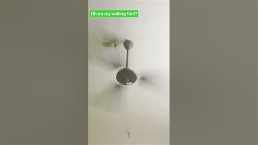 on my ceiling fan is broken!?.
