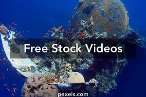 Deep Videos, Download The BEST Free 4k Stock Video Footage & Deep HD Video Clips
