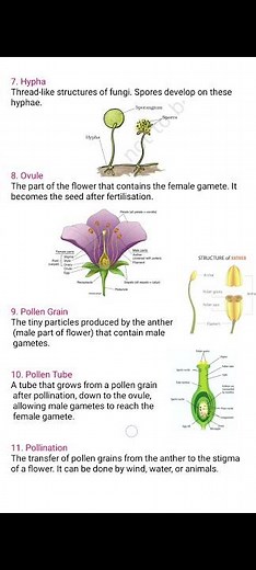 ncert class 7th science chapter 8 keywords | ncert | reproduction in plants class 7th chapter 8