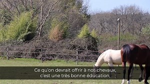 Food Friends Freedom Rejoignez notre module en ligne "Les Essentiels » ci-dessous : 👉 https://bit.ly/38b5UpC 👉 https://bit.ly/38b5UpC | Andy Booth