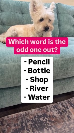 30K views · 21 reactions | What is the odd one out? | At Home with Jennie and Nick | Facebook