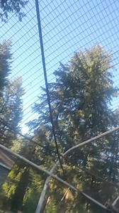 19K views · 1K reactions | Sun is out and we feel the energy. | APR All Parrot Rescue | Facebook