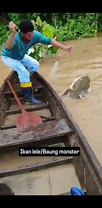 Ikan lele/Baung monster.. #semuaorang #sorotansemuaorg #fbreelsfypシ゚viralvideo2025 | Errow Kfn