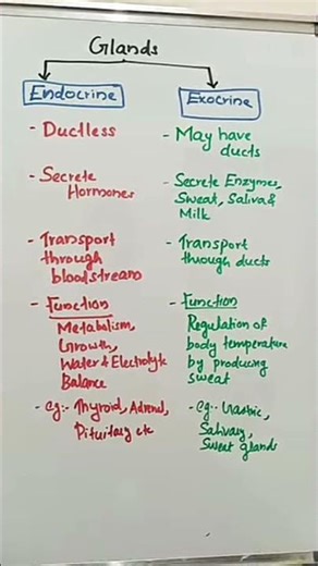 Gland #physiology #biochemistry #biology