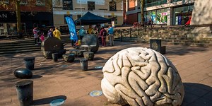 5 Important Features of Your Brain, According to a Top Neuroscientist – Lifeboat News: The Blog