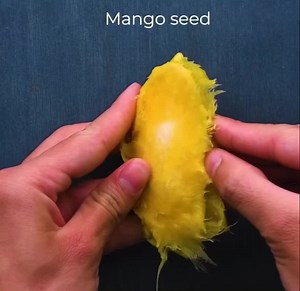 Some hacks for growing by Blossom 🌱🌱🌱 | Hippocrates Wellness