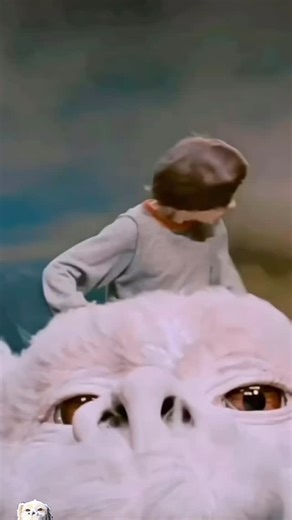 🔷Nostalgia De Los 80s | EduMF🔷 on Instagram: "“La Historia Interminable” es una de esas películas que no vimos… la vivimos. Ese instante en el que Atreyu levanta la mirada y el mundo parece más grande que él, o cuando Bastian descubre que leer también es una forma de volar. ✨ Dato que casi nadie recuerda: en la novela original de Michael Ende, la emblemática escena de Artax en el Pantano de la Tristeza es muchísimo más larga y más oscura… La película la suavizó, pero aun así nos partió el alma