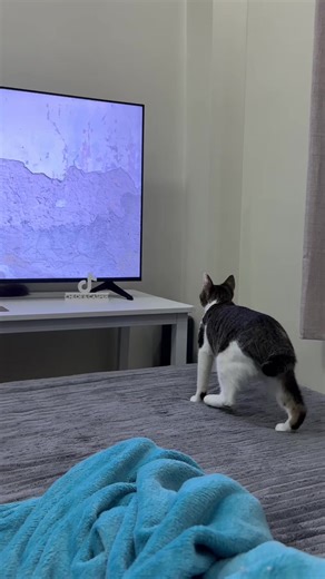 may posa na namang na scam 😂🤣😅