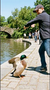 In Los Angeles, a cruel man kicked a duck into the lake, calling her dirty—but a passerby stepped in, rescued her, and rushed her to a veterinarian. Even small lives deserve compassion.#LosAngeles #GoodDeeds #KindnessMatters #fblifestyle | GlitchLife