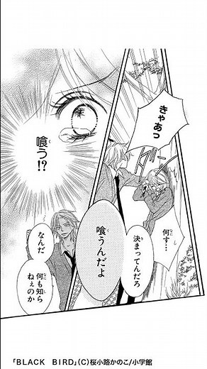 16歳の誕生日を境に、命と操を妖怪に狙われる少女の運命は……!?『ＢＬＡＣＫ ＢＩＲＤ』#恋愛漫画 #少女漫画 #漫画動画 #shorts