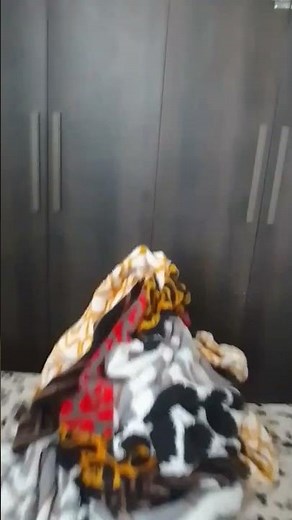 Paramount animation logo but with the stars and Paramount animation text