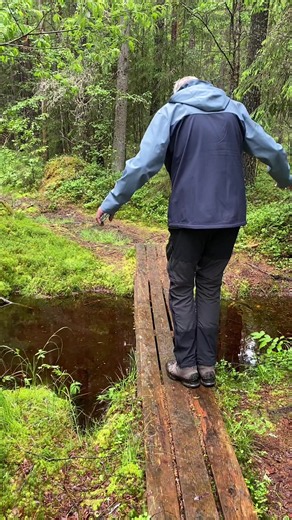 #Hiking with Rolf, never a dull moment… (3D Artists belong behind the computer, not in the jungle 😬) It was really very slippery! Watch the trajectory of my phone! #Sweden #slip #falling #fail