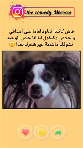 the comedy Morocco | 🙂🙂🙂🙂 | Instagram