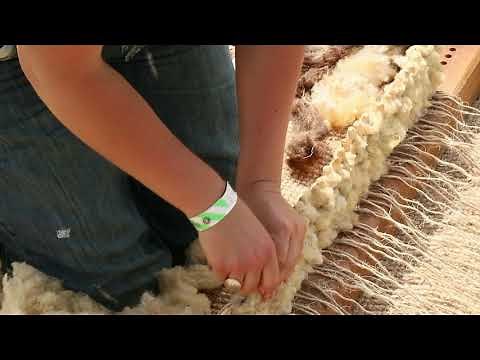 Primitive Weaving on a Peg Loom