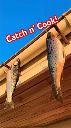 Catching Sea Trout🎣 #fishing #catchandcook #outdoors