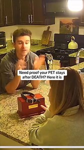 68K views · 1.1K reactions | We didn’t notice the cat towel moving until after. Our ghost #ethel confirms our pet is still with us . #homecamera #cat #dog #pet | thebrandonrobert | Facebook