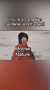 Sadly, it’s not an April fools joke. 🤣😳😫 Shop 200 organic, open-pollinated seed varieties grown in the North and regionally adapted for colder climates with shorter growing seasons in my seed shop ➡️ www.thesuperiorgardener.ca #gardening #gardener #gardenlife #northerngardening #canadiangardening #lifeincanada #canadalife #northernontario #northerngardening #seeds #seedstarting | The Superior Gardener