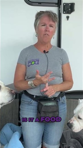 Dog Itching? Find Out What Your Dog is Allergic To! #shorts