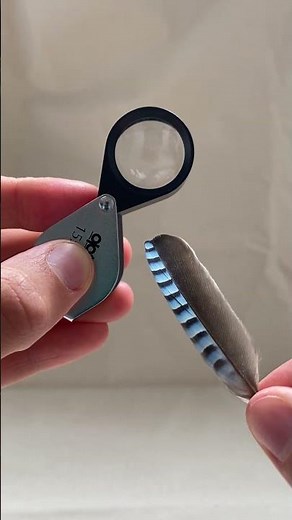 Product Focus Loupe Magnifier 15x23