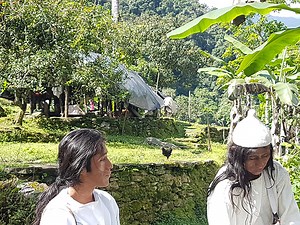 Why Are Colombia’s Kogui Indigenous People So Unique? | Sounds and Colours