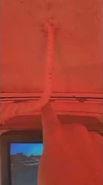 How to Dive A Personal Submarine