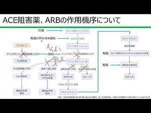 Mechanism of action of ACE inhibitors and ARBs
