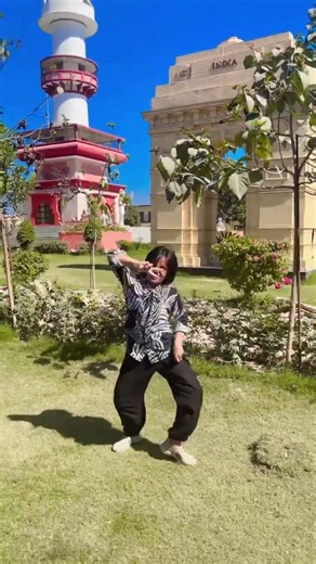 Ek vari aa to Sahi #shorts #shortsfeed #dance #dancemoves #trending #youtubeshorts