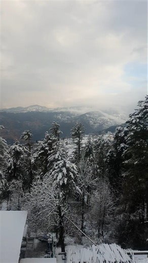 snowfall 🌨❄#snowfall #photography #videography #nature #views #shortvideo