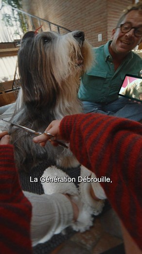 21K views · 32 reactions | Couper elle-même les poils du chien ou choisir ce qu'elle met dans son abo BASE ? C'est ça la Génération Débrouille ! 欄 | BASE Belgium | Facebook