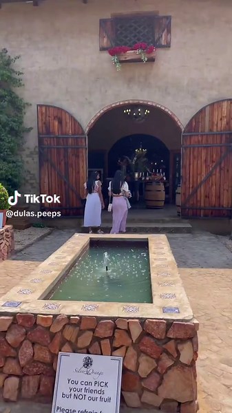 Exploring Almost Orange Hartbeespoort: A Road Trip Through South Africa's Orange Farm