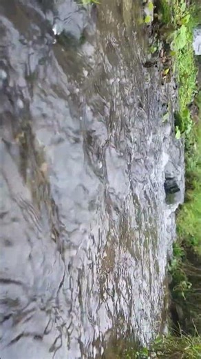 fast moving waterfall stream #nature #wildlife #water #waterfall #calm #calming #river #