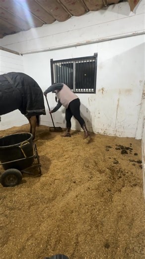 It was already past the end of the work day. I had the barn to myself. I think it’s very important to help your trainer. It’s not hard to feed, water, or clean the stall before you leave. When you’re part of a big barn~ | Annie