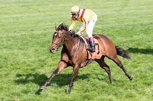 Lady Aurelia All Class in Giant's Causeway