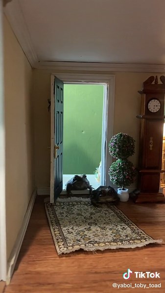 #toad #frogtok #miniatures #scalemodel