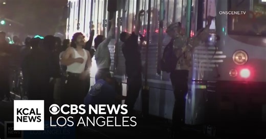 Chaos erupts overnight in downtown LA as mob vandalizes businesses, trains and a police car