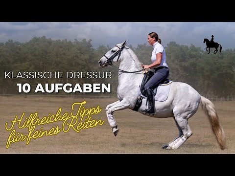 10 Übungen Klassische Dressur 🐴 Hilfreiche Tipps für feines Reiten #Reitkunst #Reitunterricht