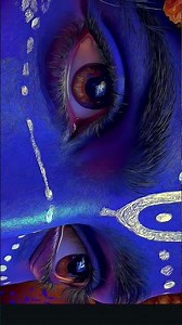 ❤️❤️🦚🦚