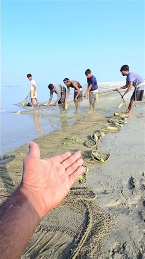 🐠🐟 Big Size Fish Killing Time নদীতে বড়ো মাছ ধরলাম #ljacomedy #big_size_fish #shorts #tranding_video