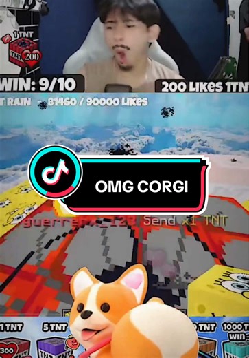 Corgis in Minecraft: The Ultimate Adventure!