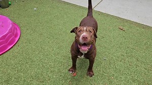 2.6K views · 203 reactions | Wiggle your gluteus medius down to...