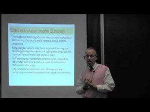 Chapter 8 Skill Memory