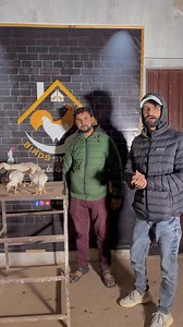 5.5K views · 161 reactions | #saqisaqi #lahoraseel #shamo #chinashamo #birds #thailandaseel #shelter #shamobussince #thaiburmi #thaiaaeel #aseel #burmiaseel #whiteshamo #kingshamo #lahorephotography #saqiaseelfarm #Thailand #thaifighter #shamobussince #lakhashamo #blackshamo # #burmiaseel #thiafight #saqisaqibirdsshelter #whiteoshamo #king #saqisaqi #birdsshel #shamofight | Bird's shelter | Facebook