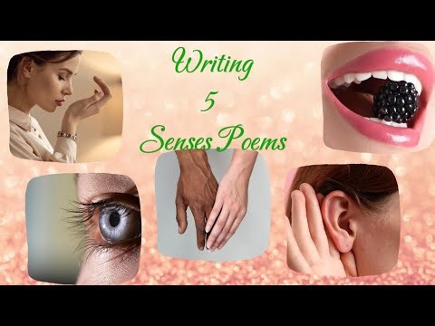 5 Senses Poem | Fun & Easy Writing Activity for Students
